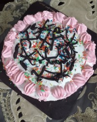 تولد دوقلوها ❤️