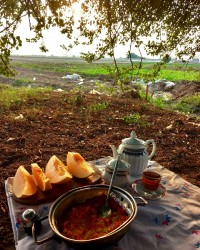 صبحانه درطبیعت