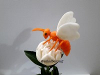 زنبور با هویج