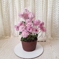 کیک گلدان شکلاتی