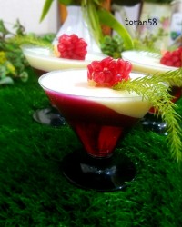 پانا کوتا انار