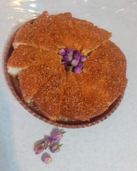 چالش بافاطمه زمانی