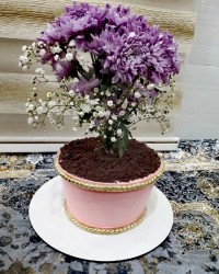 کیک شیفون خامه ای