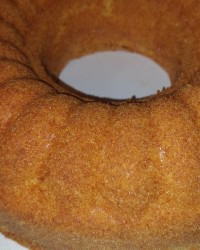 عکس های گالری