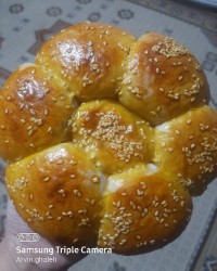 چالش _فاطمه _زمانی