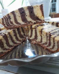 چالش فاطمه زمانی عزیز