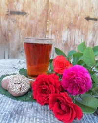 _چالش عکس گالری