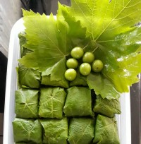 عکس از گالری