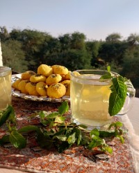 دمنوش نعناع