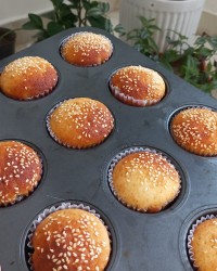 عکس های آرشیوی (سری دوم)