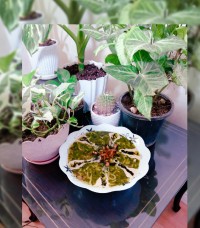 آش رشته خونه خواهری