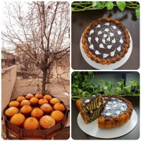 عکس های آرشیوی