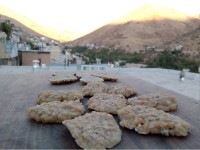 ترخینه خشک خانگی