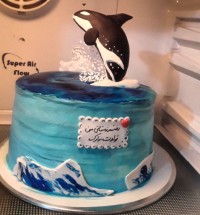 سفارشای امروز