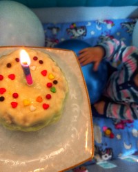 روزت مبارک پسرم