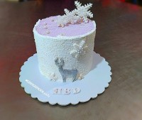 کیک دخترونه زمستونی