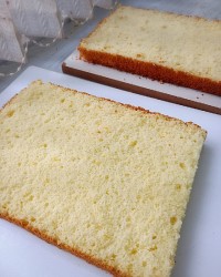 اسفنجی زرده ایی قنادی