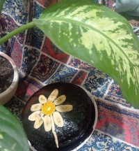 کیک شکلاتی قابلمه ای
