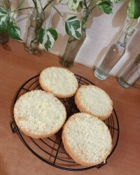 اسفنجی زرده ایی قنادی