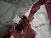 ولنتاین خانم محبی