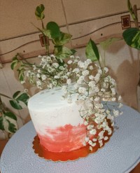 گل به سر عروس،۱۳۸۷/۱۱/۲۵