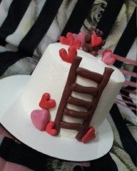 ولنتاین خانم محبی