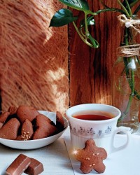 شیرینی نخودچی کاکائویی