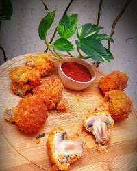 قارچ سوخاری - ۲