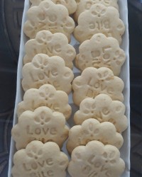 اللهم صلی علی محمد و آل محمد و (عجل فرجهم)