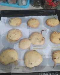 شیرینی کشمشی بادستورمامان مبین وماتیار