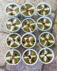 آش پشت پای خواهر زاده جان