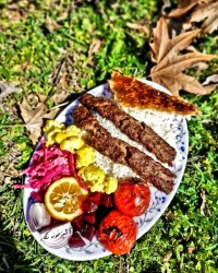 کباب کوبیده (ورق بزنید)