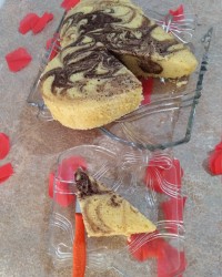 زبرا. عکس ارشیوی