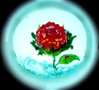 طراحی روی ماست