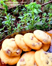 شیرینــی کشمشــی :)