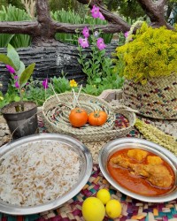 خورشت مرغ با برنج رشته ای