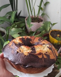 چالش عکس گالری