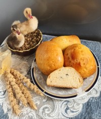 نان شیرین کشمشی در فر