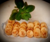 شیرینی مغزدار