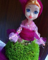 سبزه خاکشیر