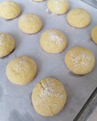 کوکی ترک پرتقالی عید