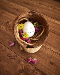 در انتظارِ بهار