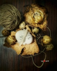 تخم مرغ هفت سین