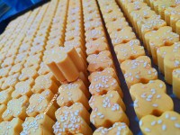 نخودچی ۱پخت امسال