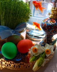 تخم مرغ رنگی