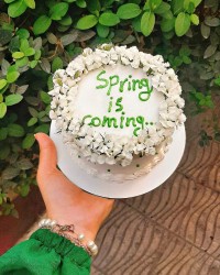 کیک بهاری خوشگل