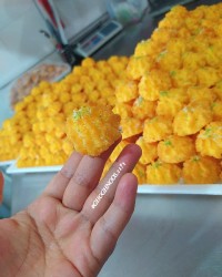 رز نارگیلی زعفرونی