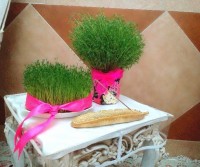 سبزه عید:)