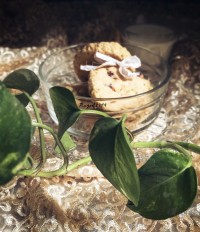 cookie