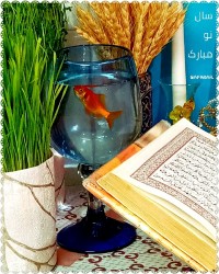 کلوچه سنتی